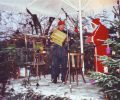 Weihnachtsmarkt des Bezirksverbandes