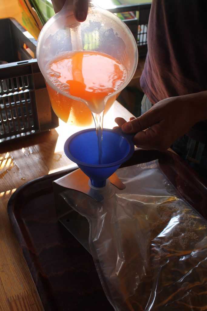 Anleitung zur Obstmosterei – Kleingartenkolonie Grüne Aue e.V.