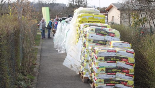 Pflanzerdenausgabe